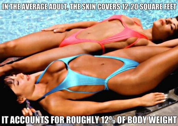 fun_facts2