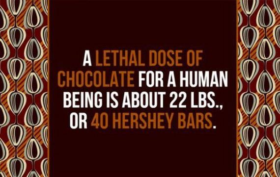 fun_facts2