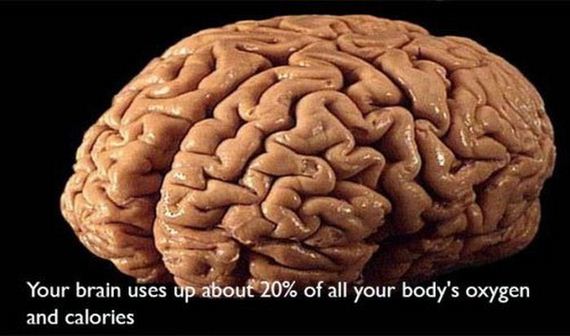 fun_facts2