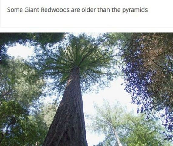 fun_facts2