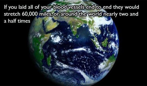 fun_facts2