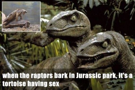 fun_facts2
