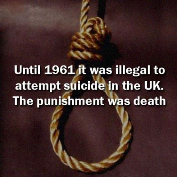 fun_facts2
