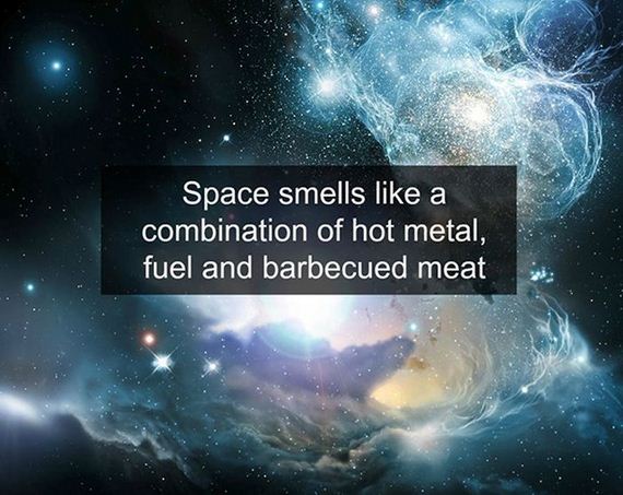 fun_facts_08
