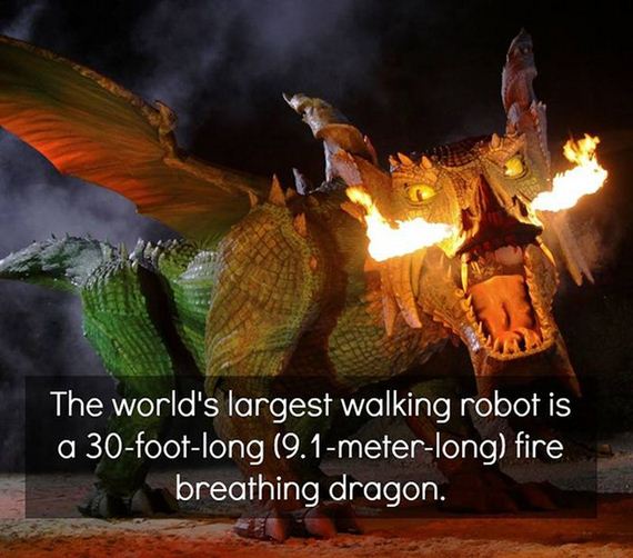 fun_facts_08
