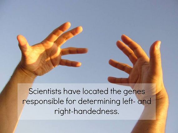 fun_facts_08