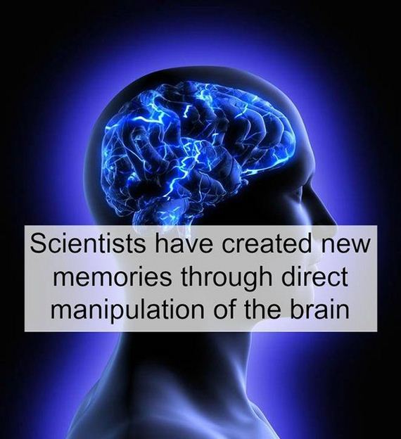 fun_facts_08