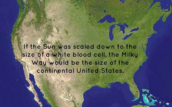 fun_facts_08