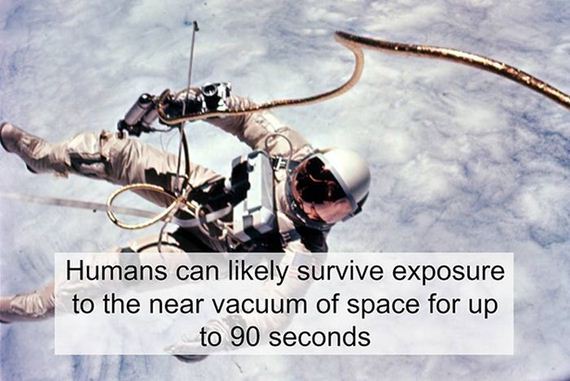 fun_facts_08