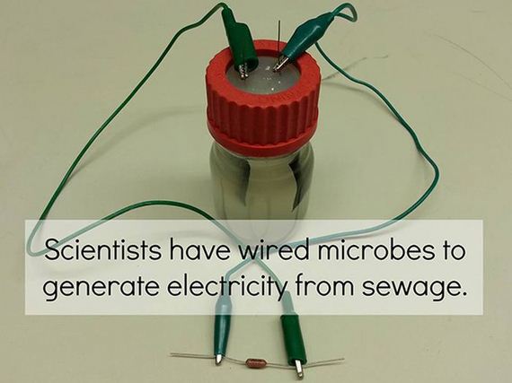 fun_facts_08