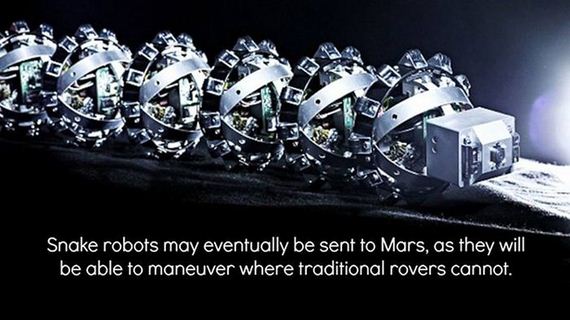 fun_facts_08