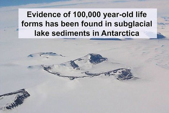 fun_facts_08