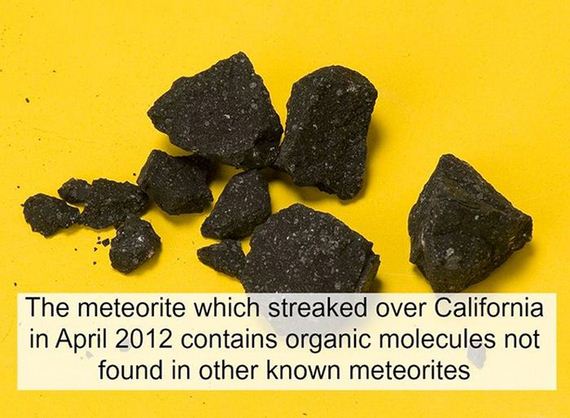 fun_facts_08