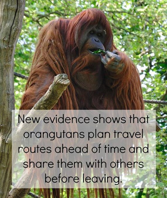 fun_facts_08