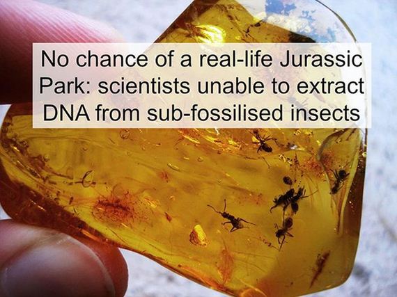 fun_facts_08