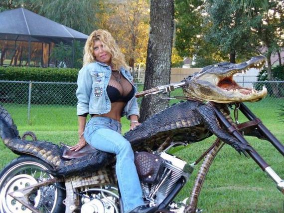 fun_pics_for_adults_26
