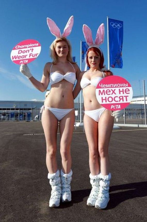 fun_pics_for_adults_26