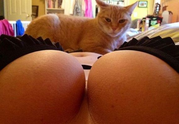 fun_pics_for_adults_26