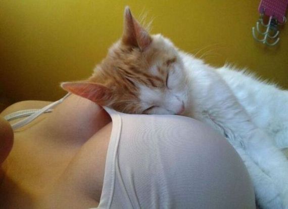 fun_pics_for_adults_40