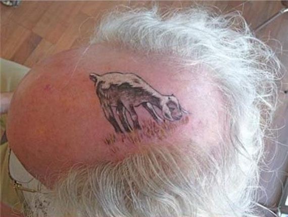 funny-goat-hair-eating-grass-tattoo