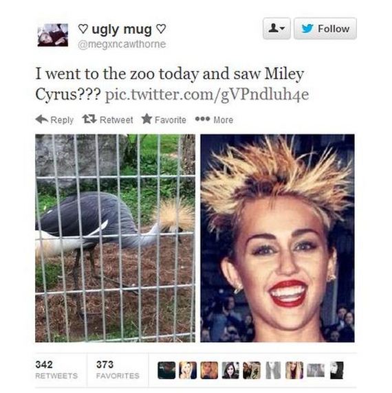 funny-pictures-534