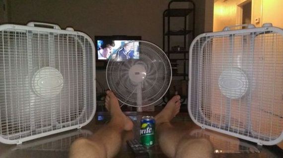 funny-pictures-535