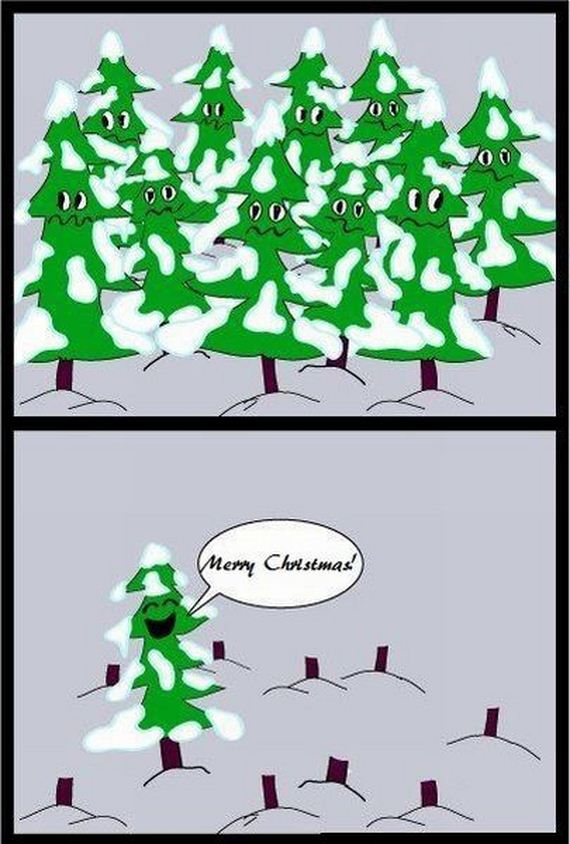funny-pictures-535