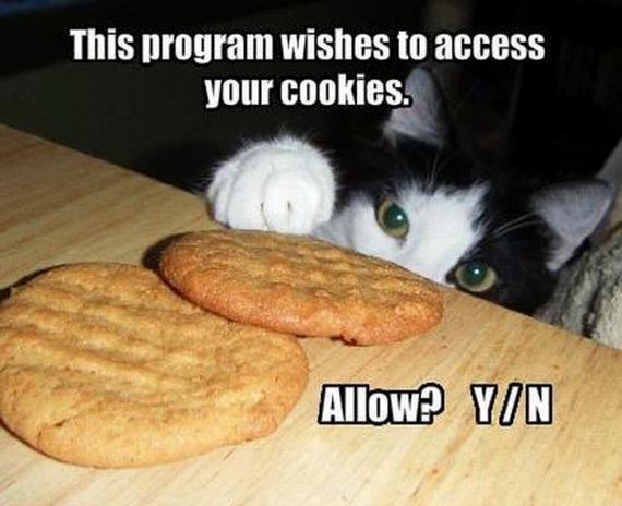 funny-pictures-535
