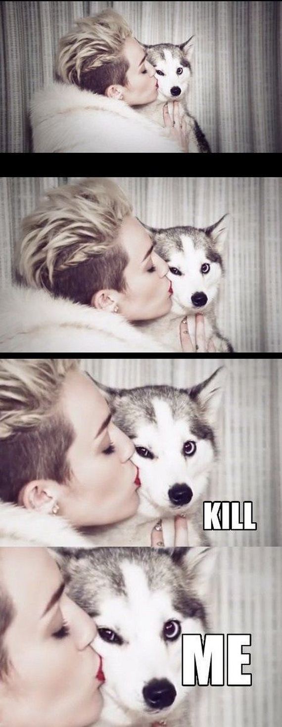 funny-pictures-535