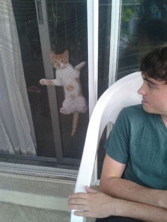 funny-pictures-535