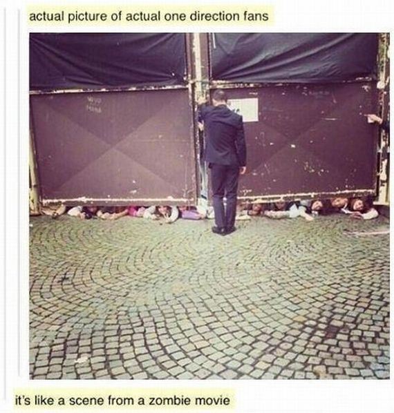 funny-pictures-536