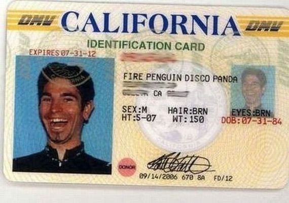 funny-pictures-536