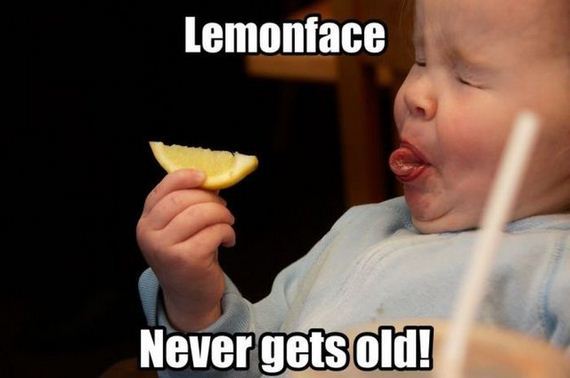funny-pictures-536
