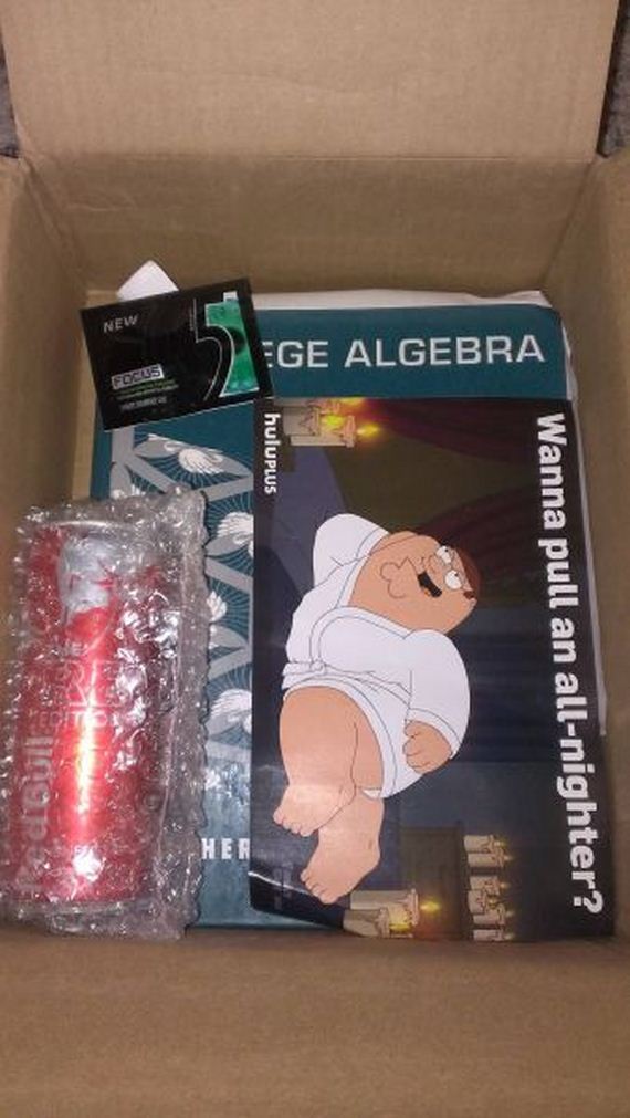 funny-pictures-536