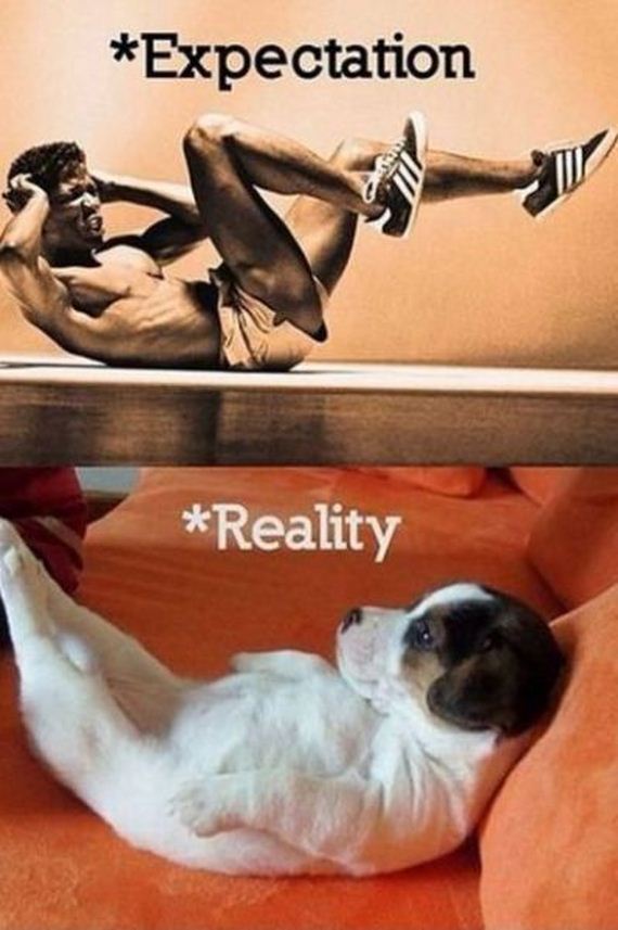 funny-pictures-537