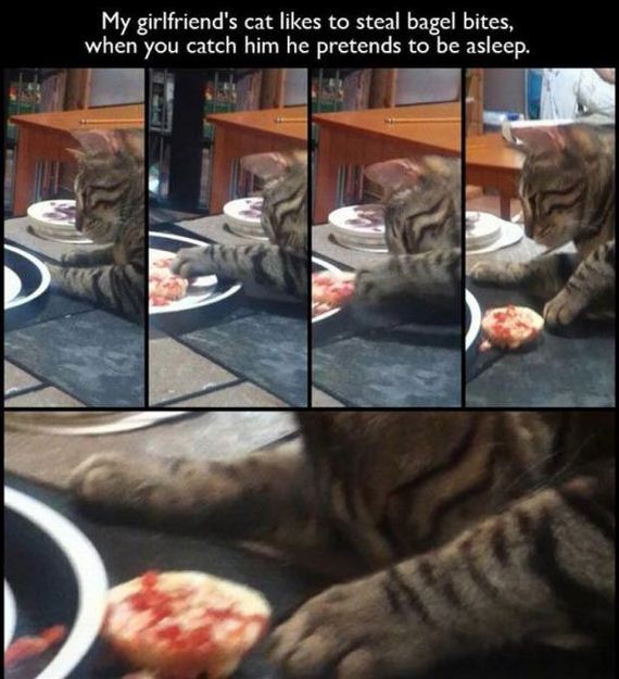 funny-pictures-537