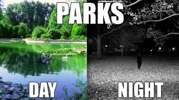 funny-pictures-537