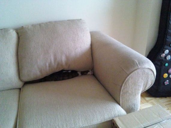 funny-pictures-537