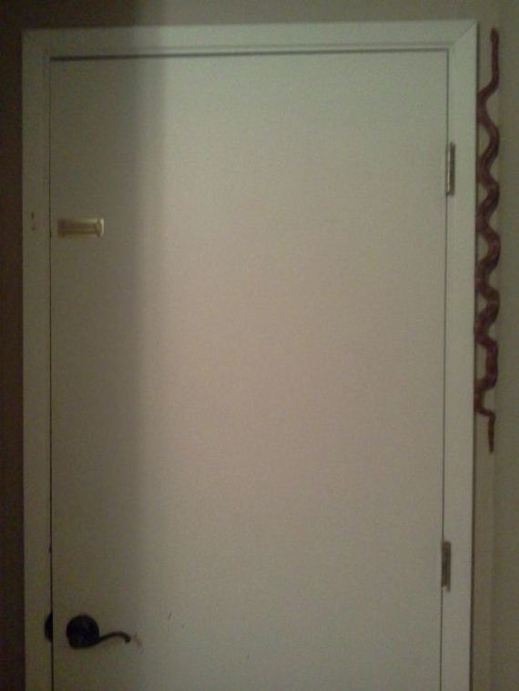 funny-pictures-537