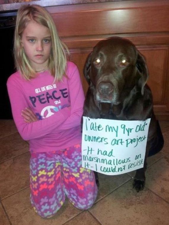 funny-pictures-537