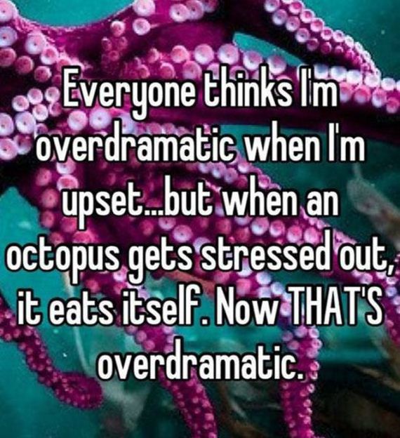 funny-pictures-538
