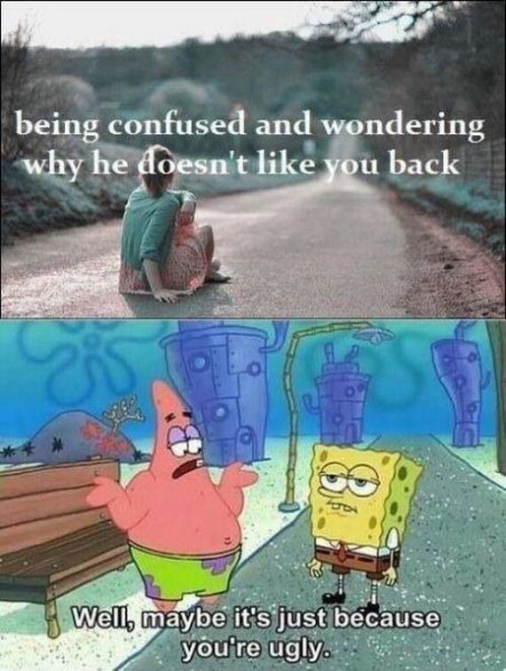 funny-pictures-538