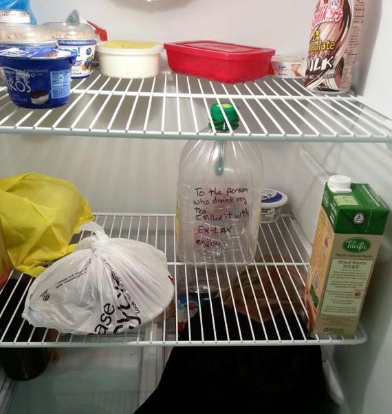 funny-pictures-538