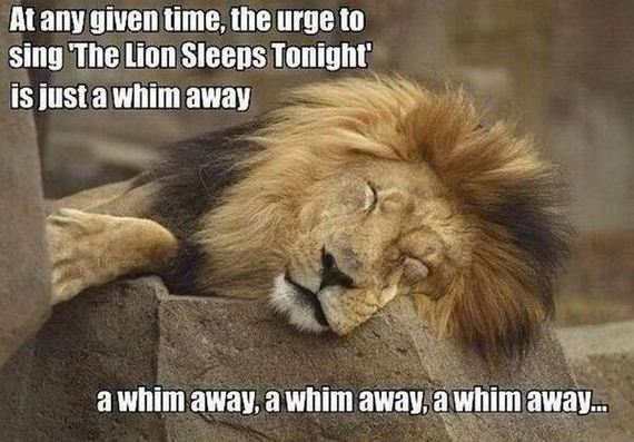funny-pictures-538