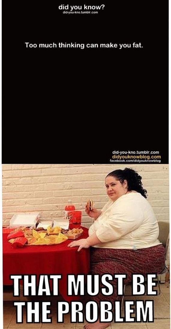 funny-pictures-539