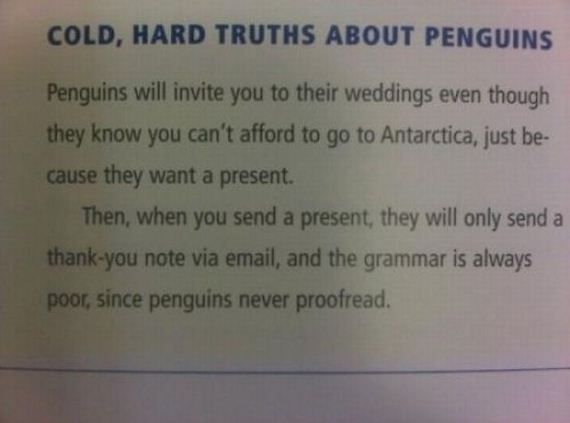 funny-pictures-540