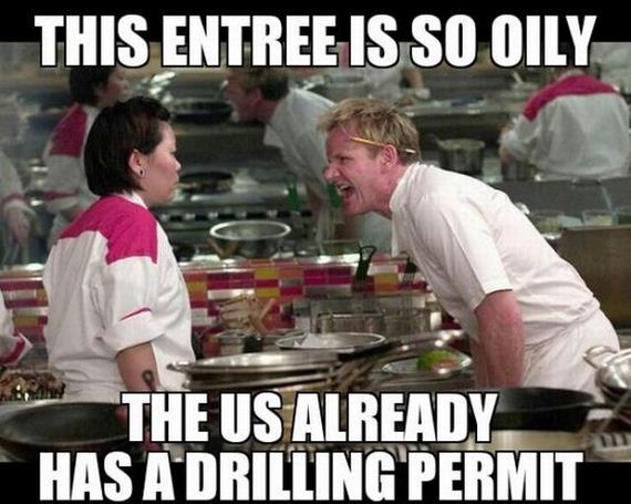 funny-pictures-540
