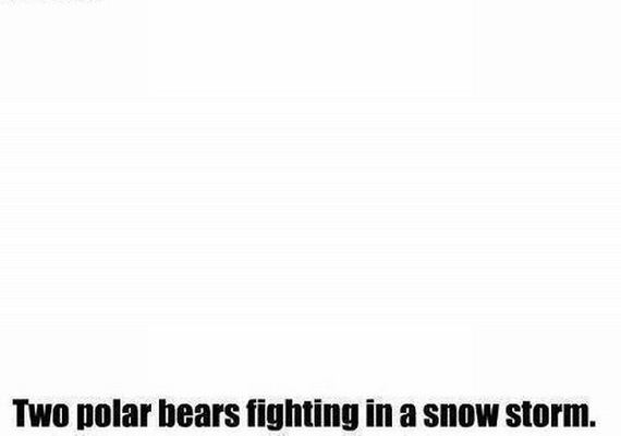 funny-pictures-540