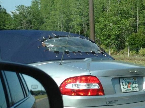 funny-pictures-540