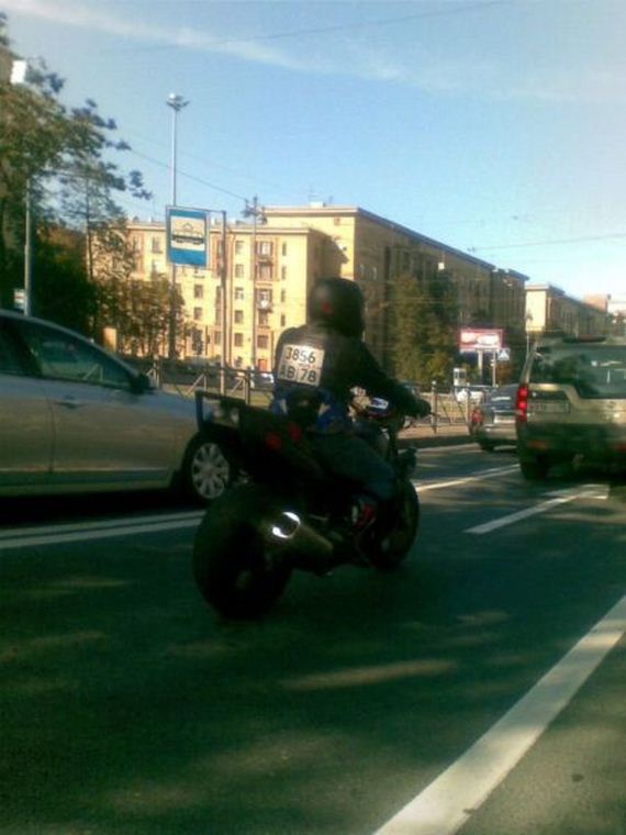 funny-pictures-540